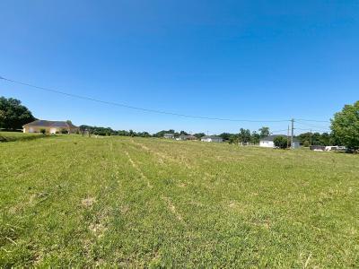 Annonce Vente Terrain Monein 64
