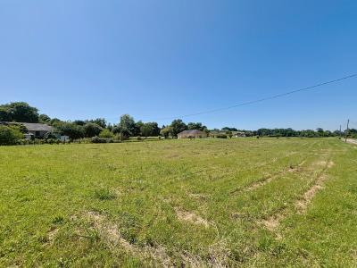 Acheter Terrain Monein 50000 euros