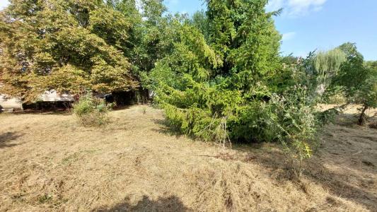 Annonce Vente 5 pices Maison Cagnac-les-mines 81
