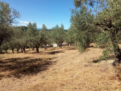 Acheter Maison 149 m2 Manosque