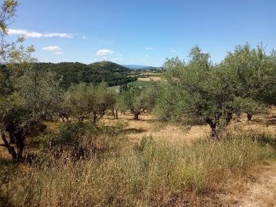 Acheter Maison Manosque Alpes de haute provence