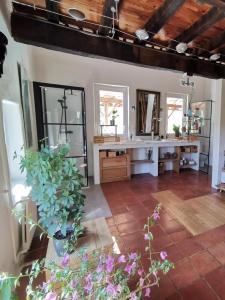 Acheter Maison Bellegarde-sainte-marie Haute garonne