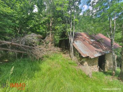 For sale Auron SAINT-ATIENNE-DE-TINAE Alpes Maritimes (06660) photo 3