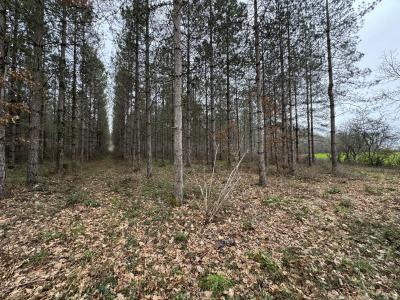 Annonce Vente Terrain Barbaste 47