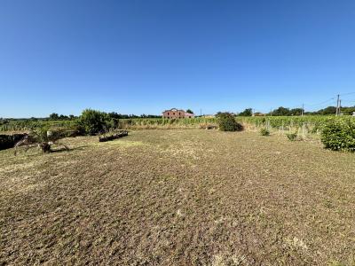 Acheter Maison Barsac Gironde