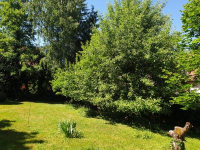Annonce Vente 9 pices Maison Buhl 68