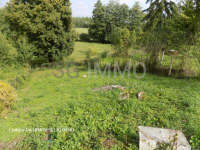 Annonce Vente Terrain Challerange 08