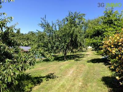 Annonce Vente 7 pices Maison Pont-l'eveque 14