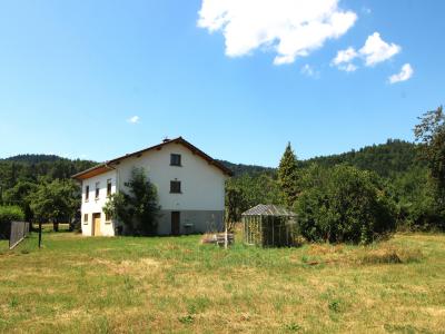 Acheter Maison 132 m2 Ramonchamp