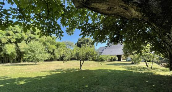 Annonce Vente Maison Angais 64