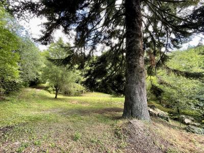 For sale Saint-sauveur-camprieu 5 rooms 119 m2 Gard (30750) photo 3