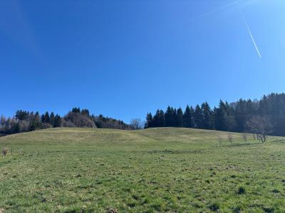 Annonce Vente Terrain Bellevaux 74
