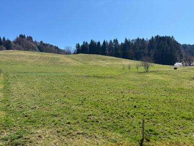 Acheter Terrain Bellevaux