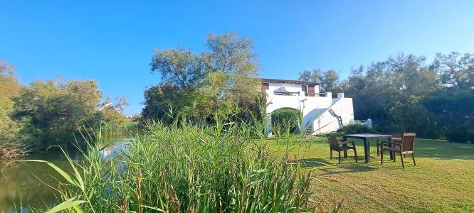 For sale Saintes-maries-de-la-mer 12 rooms 270 m2 Bouches du Rhone (13460) photo 0