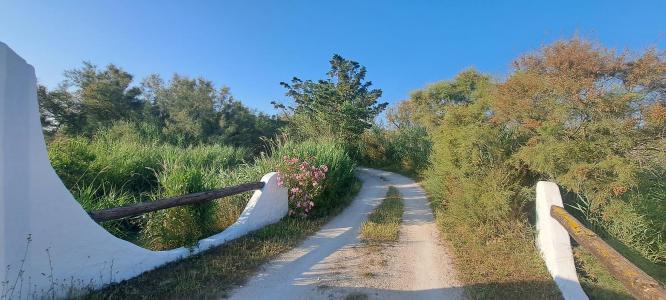 For sale Saintes-maries-de-la-mer 12 rooms 270 m2 Bouches du Rhone (13460) photo 2