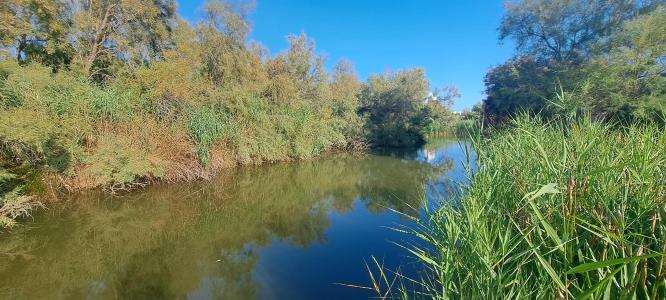 For sale Saintes-maries-de-la-mer 12 rooms 270 m2 Bouches du Rhone (13460) photo 3