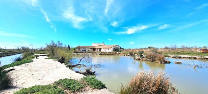 For sale Saintes-maries-de-la-mer 9 rooms 255 m2 Bouches du Rhone (13460) photo 0