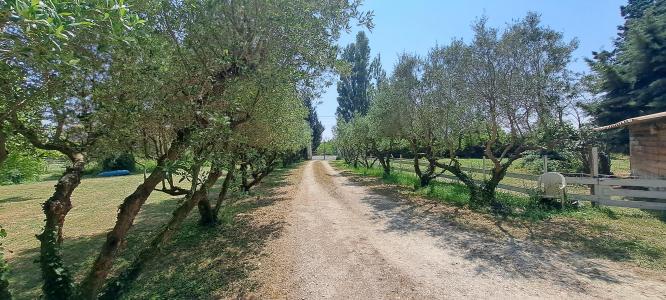 For sale Arles 9 rooms 286 m2 Bouches du Rhone (13200) photo 1