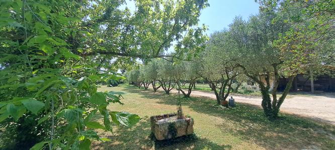 For sale Arles 9 rooms 286 m2 Bouches du Rhone (13200) photo 2