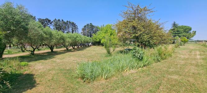 For sale Arles 9 rooms 286 m2 Bouches du Rhone (13200) photo 3
