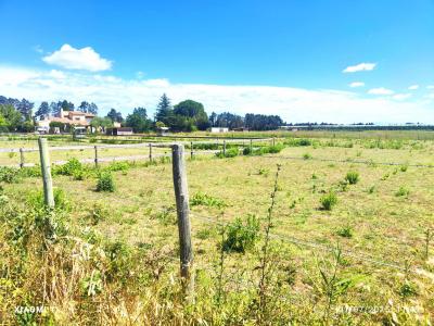 For sale Arles 9 rooms 286 m2 Bouches du Rhone (13200) photo 4