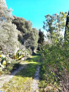 For sale Beausset 3 rooms 79 m2 Var (83330) photo 1