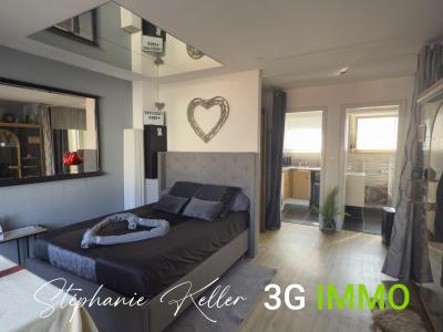 Annonce Vente Appartement Colmar 68