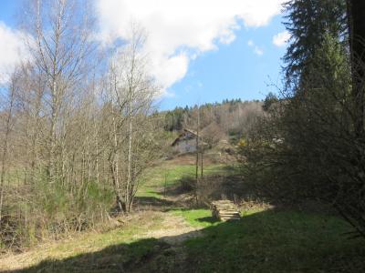 For sale Thillot 15 rooms 306 m2 Vosges (88160) photo 0