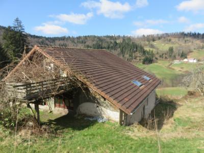 For sale Thillot 15 rooms 306 m2 Vosges (88160) photo 1