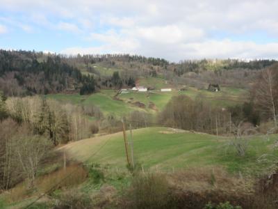 For sale Thillot 15 rooms 306 m2 Vosges (88160) photo 3