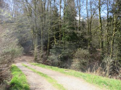 For sale Thillot 15 rooms 306 m2 Vosges (88160) photo 4