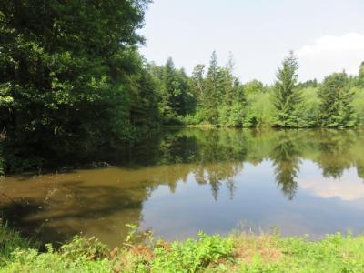 Annonce Vente Terrain Ternuay-melay-et-saint-hilaire 70