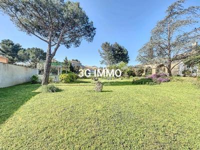 Annonce Vente Terrain Sauvian 34