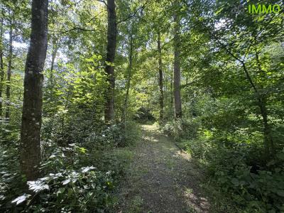 For sale Beaurieux BARELLES 7 rooms 171 m2 Nord (59740) photo 2