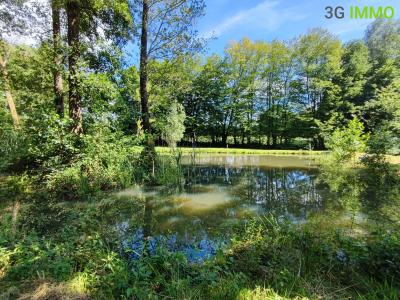 For sale Beaurieux BARELLES 7 rooms 171 m2 Nord (59740) photo 3