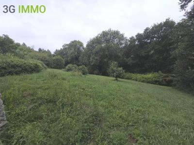 Annonce Vente 7 pices Maison Languidic 56