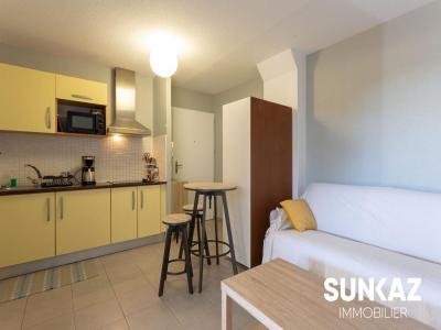 Annonce Location Appartement Riviere-saint-louis 974