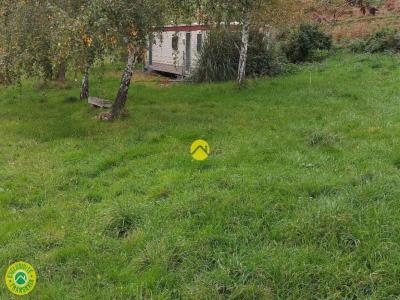 For sale Montvicq 3 rooms 6000 m2 Allier (03170) photo 0