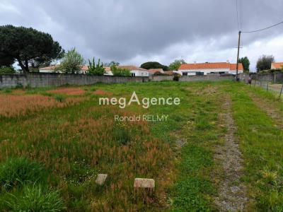 Annonce Vente Terrain Ile-d'olonne 85