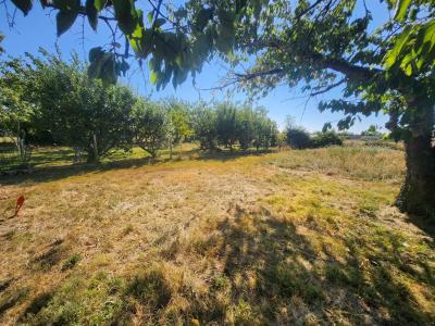 For sale Estillac Lot et garonne (47310) photo 3