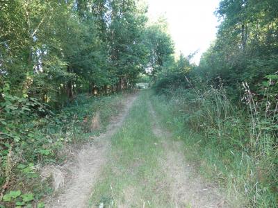 For sale Nuille-le-jalais Sarthe (72370) photo 1