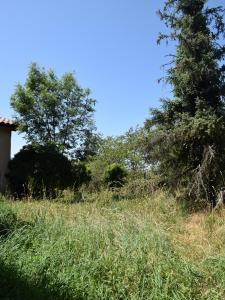 Acheter Maison Saint-medard-en-forez Loire