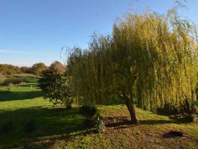 Acheter Maison Chamberat 208000 euros