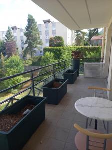 Acheter Appartement Chamalieres Puy de dome