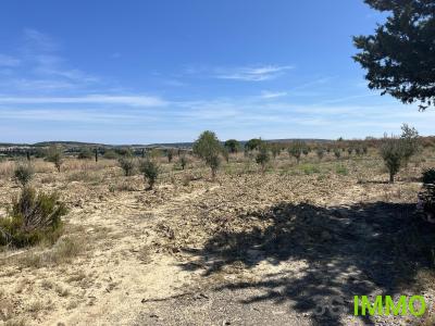 Annonce Vente Terrain Lespignan 34