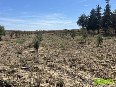 Acheter Terrain Lespignan