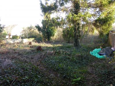 Acheter Maison 85 m2 Mareuil-les-meaux