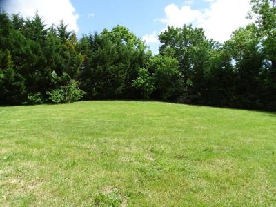 Acheter Terrain Isle-jourdain