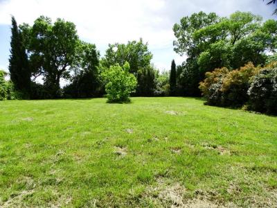 Acheter Terrain Isle-jourdain Gers