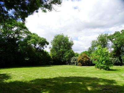 Acheter Terrain Isle-jourdain 59000 euros